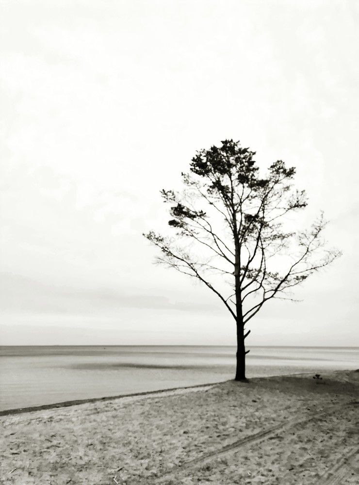 Photograph by Денис Терехин