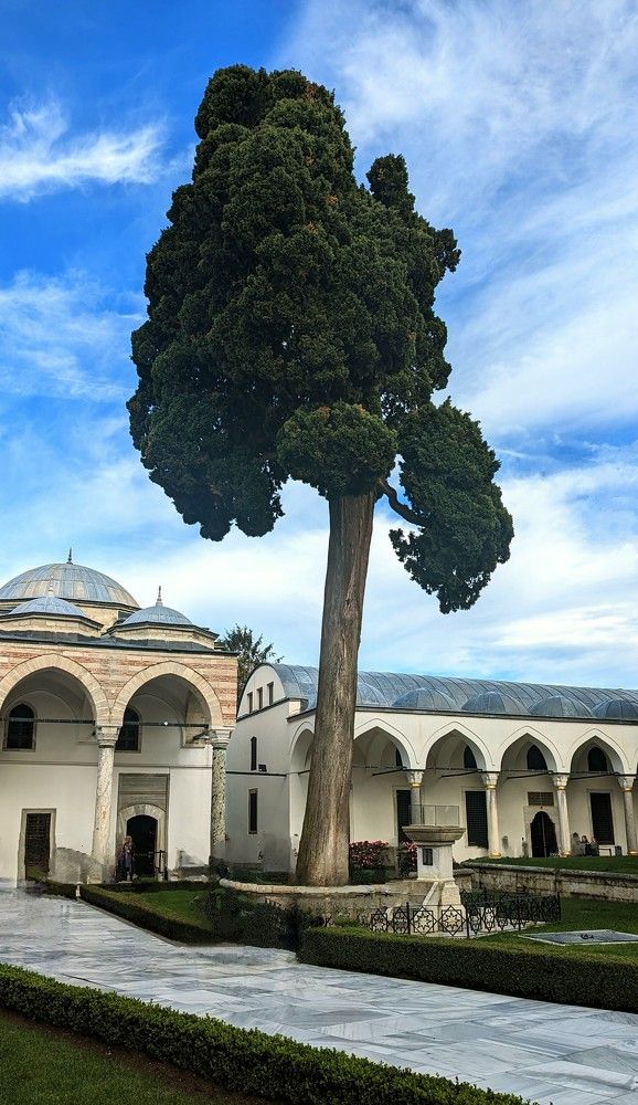 Photograph by Денис Терехин