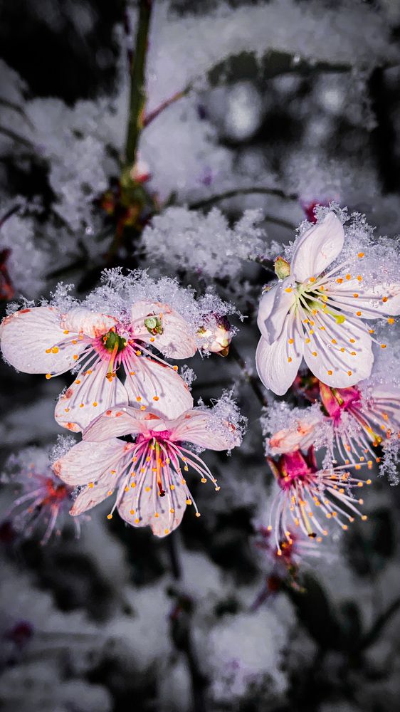 Photograph by Евгений Фисун