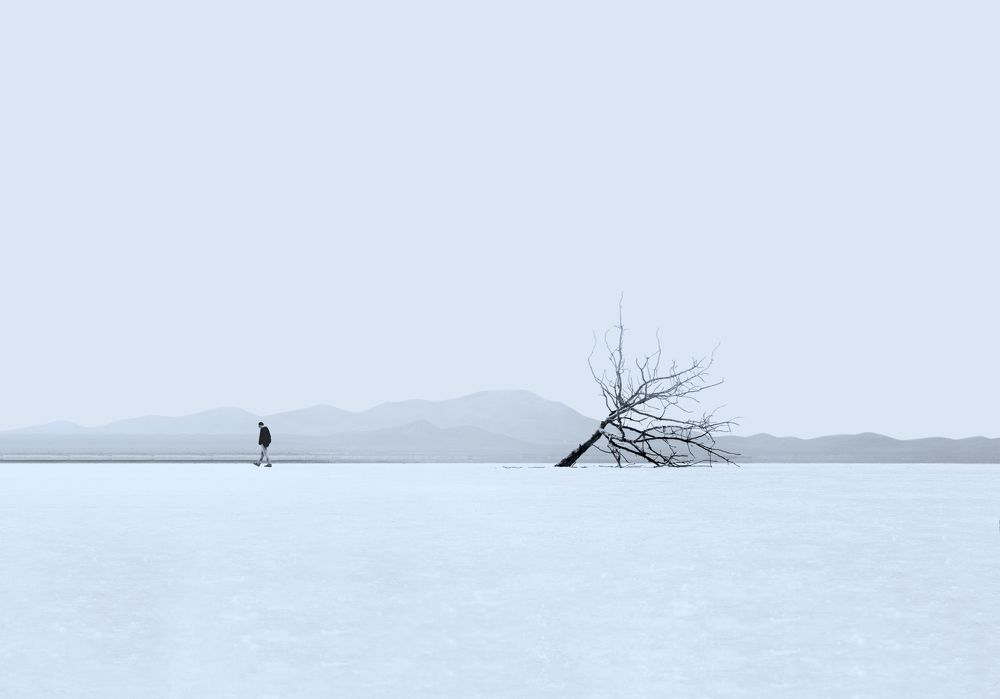 Photograph by محمودرضا نورایی