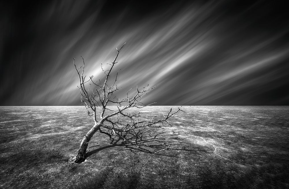 Photograph by محمودرضا نورایی