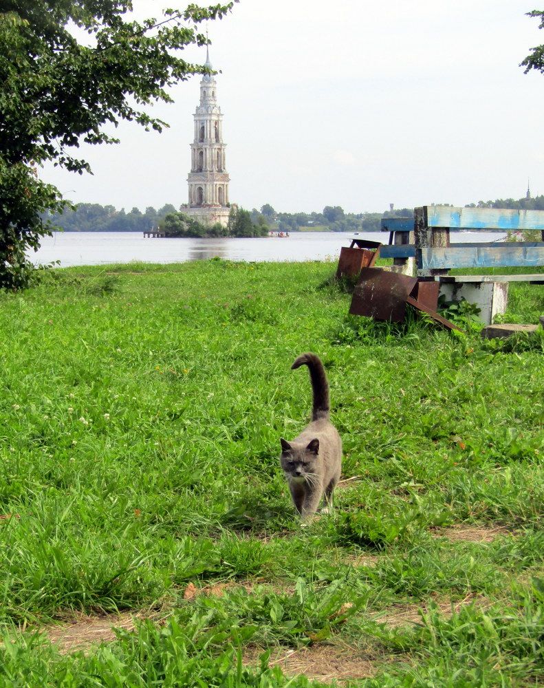 Photograph by Татьяна Смирнова