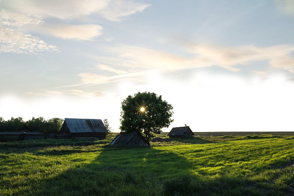 Photograph by Мария Самолевич