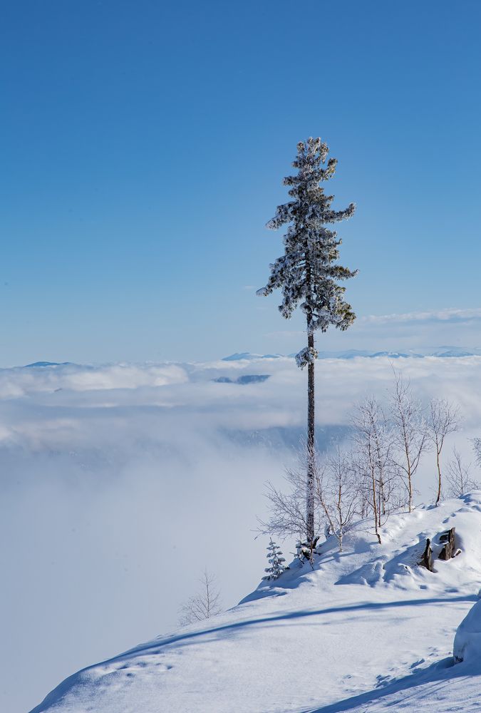 Photograph by Елена Павлова