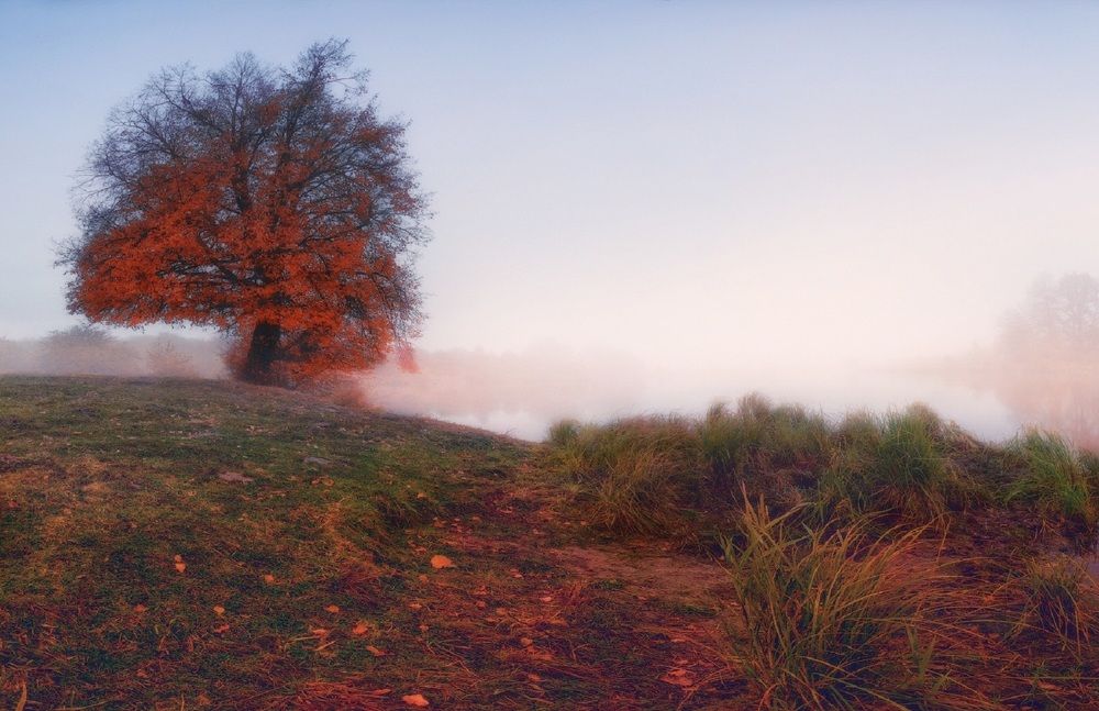 Photograph by Владимир