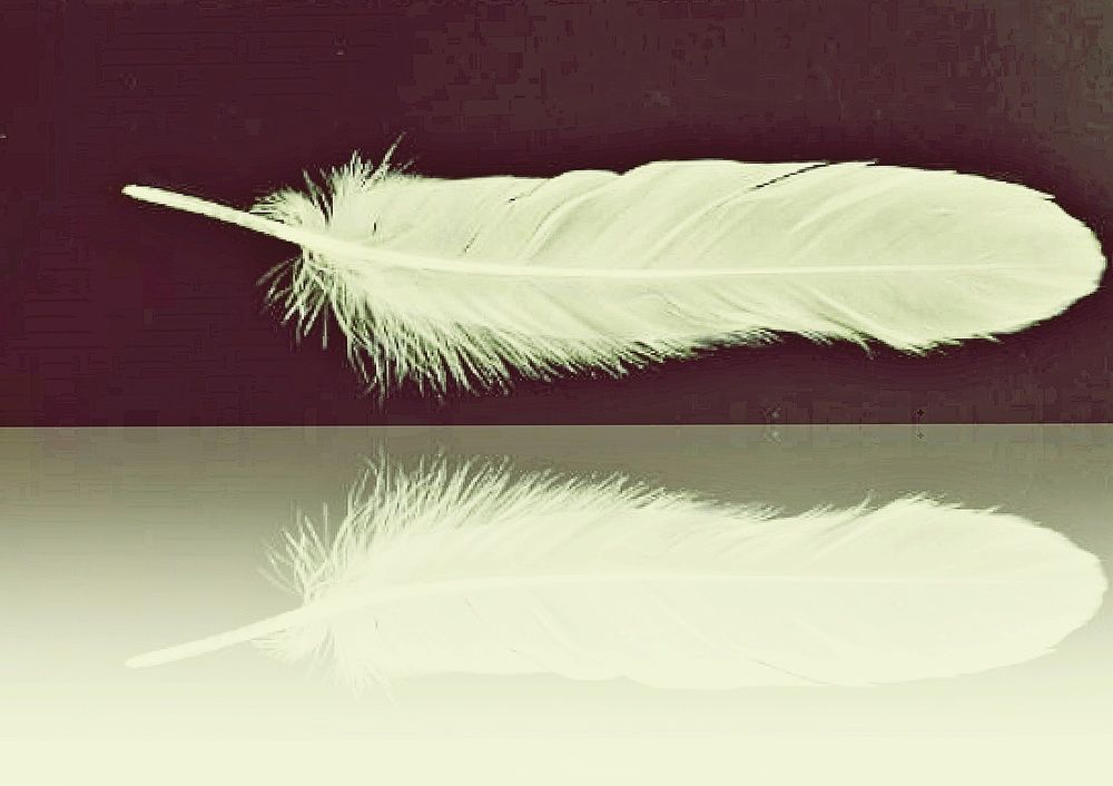 Концептуальная фотография