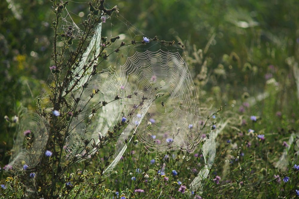 Фотография автора Светлана Зимина