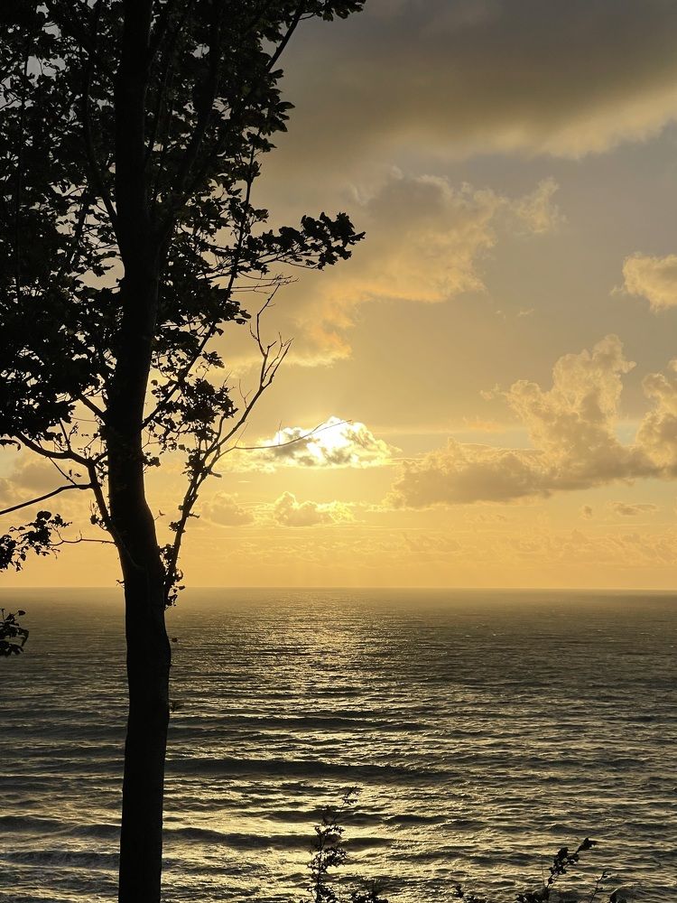 Фотография автора Елена Меньшикова