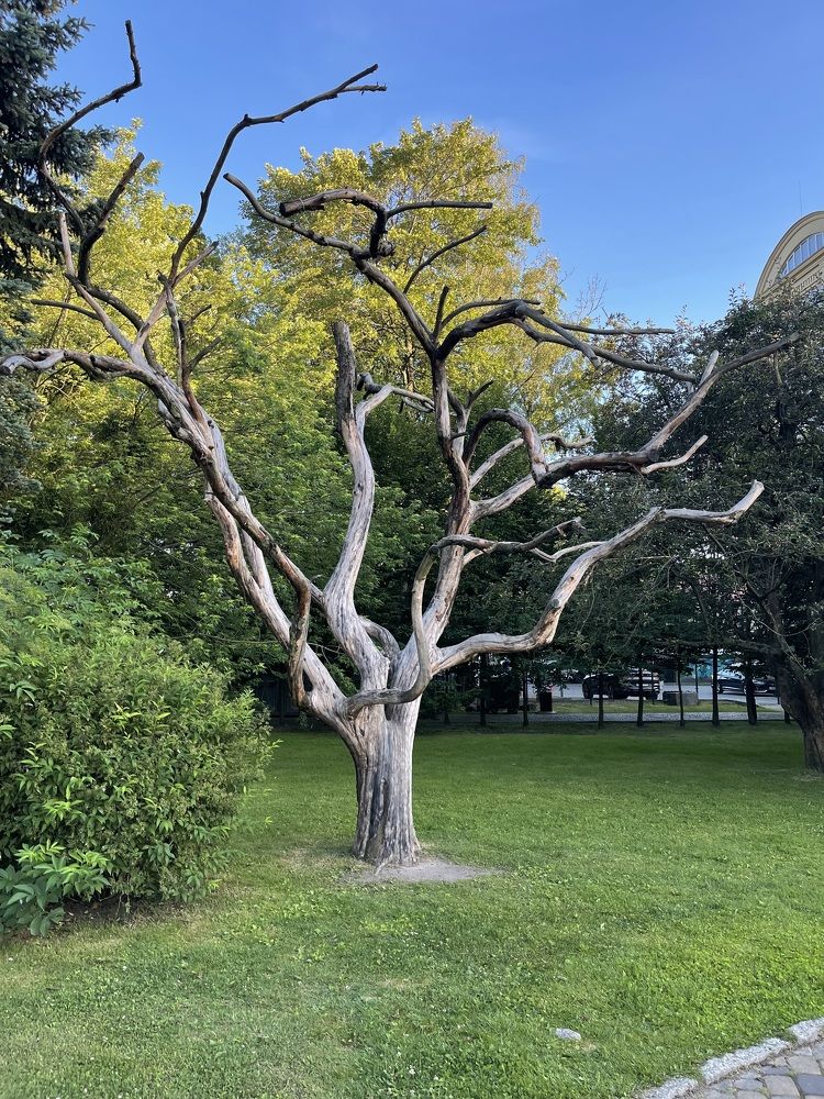 Фотография автора Елена Меньшикова