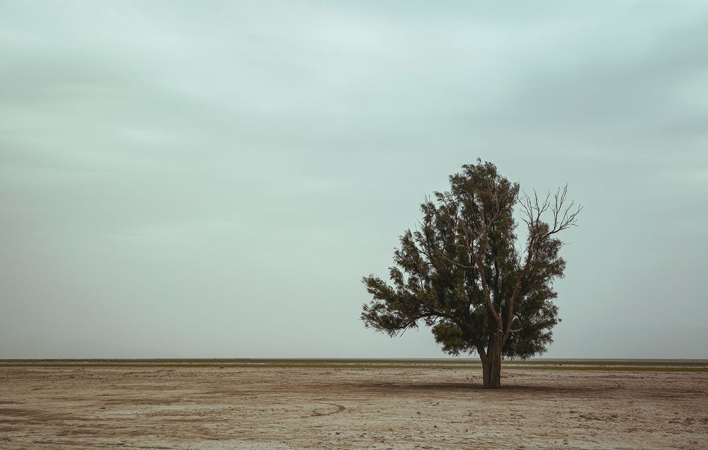 Фотография автора Ebrahim Rahiminezhad