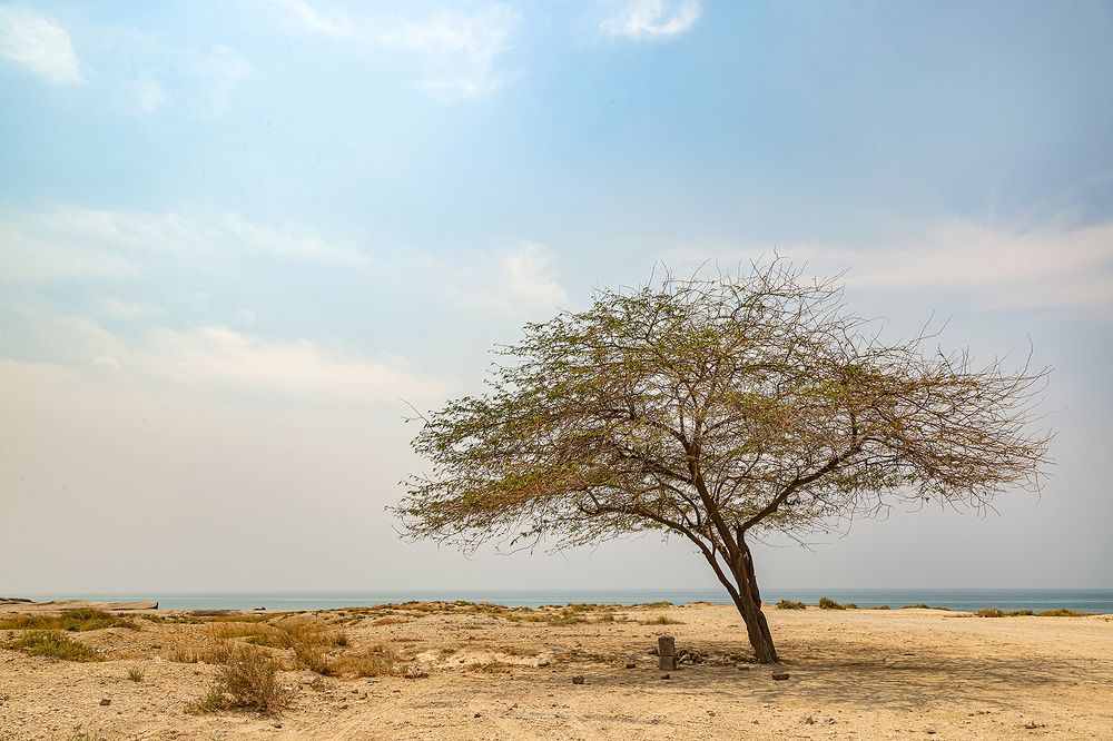 Фотография автора Ebrahim Rahiminezhad