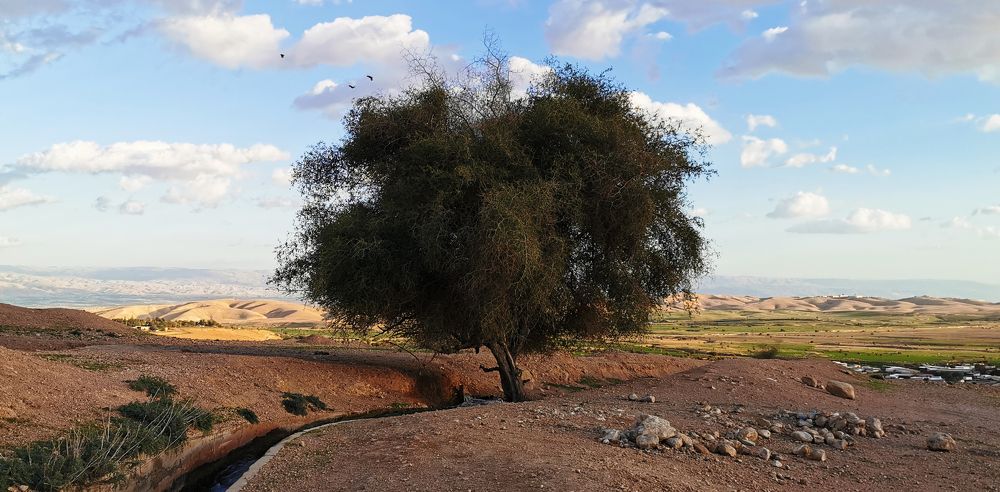 Photograph by Aleksandr Kolonsky