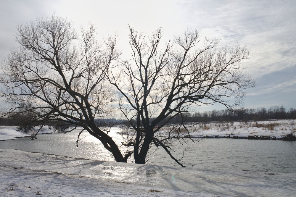 Photograph by Денис Прохоров
