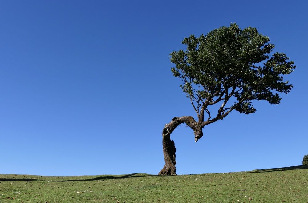 I bend but I don't break