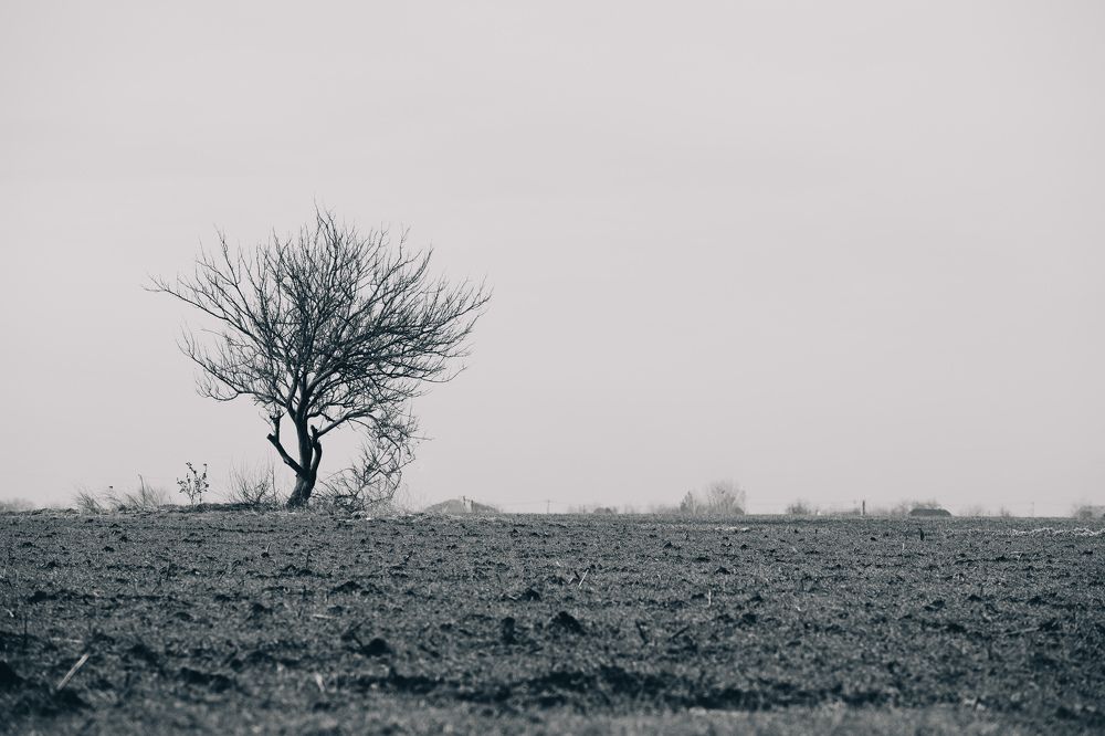 Фотография автора Вазген Бояджян