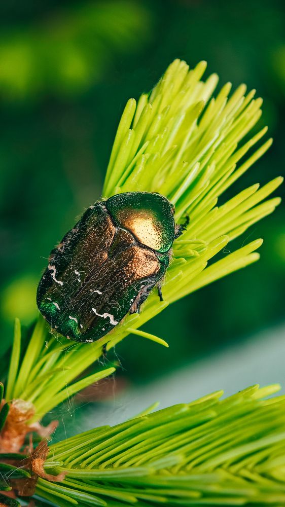 Фотография автора Иван Мисько
