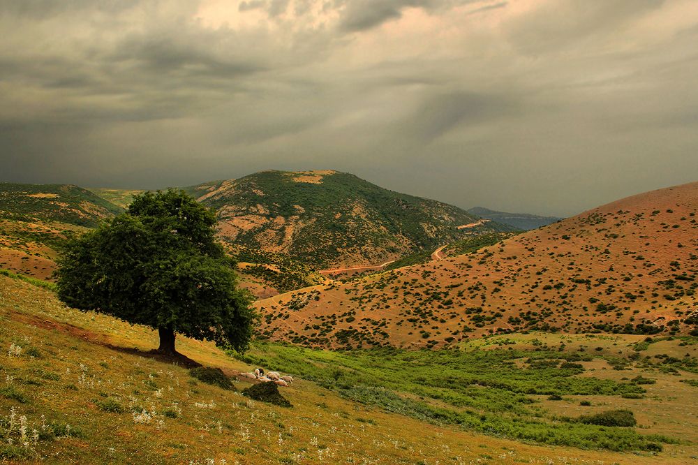 Photograph by 