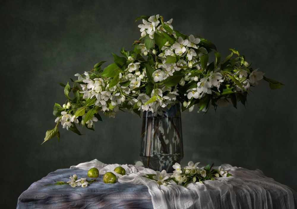 Photograph by Dina Ginevich