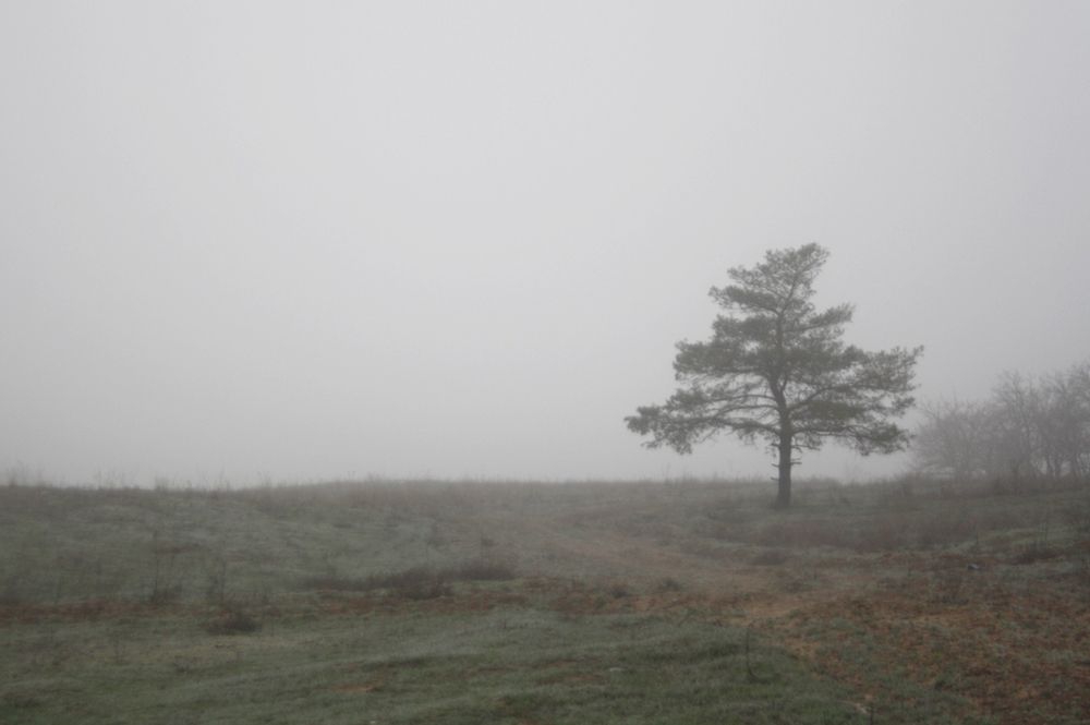 Photograph by Анна