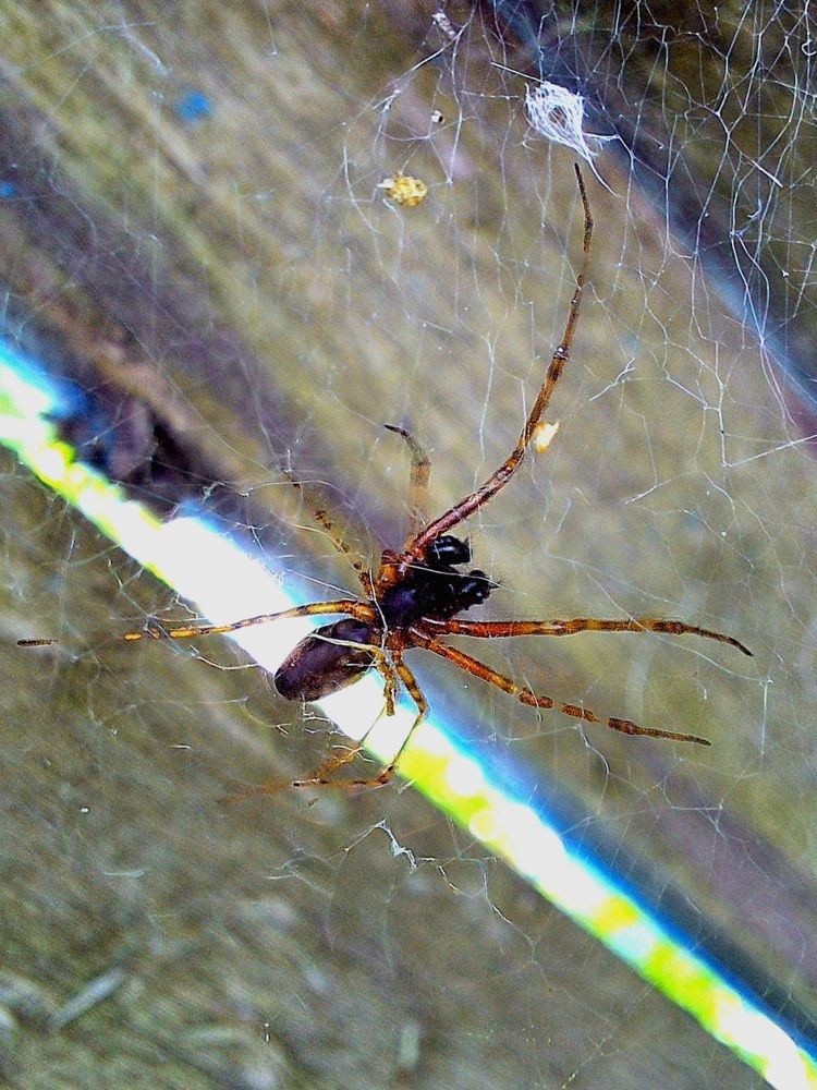 Photograph by Наталья Шехова