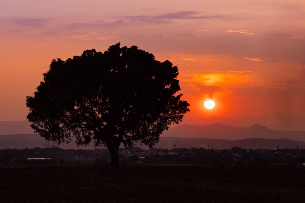 Photograph by Jaime Trejo