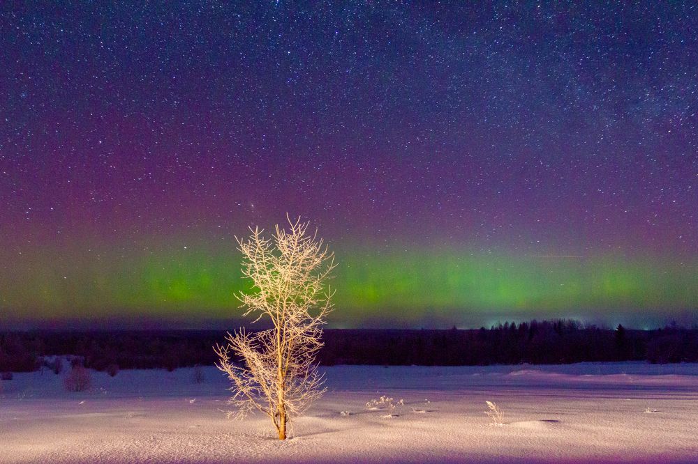 Photograph by Vera Komarova