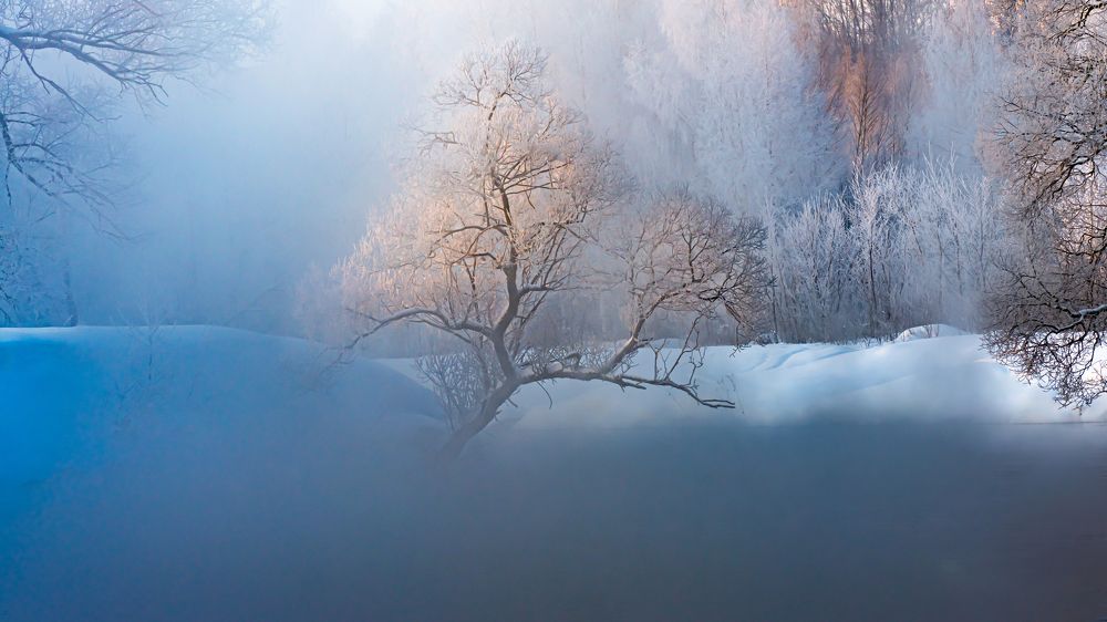 Photograph by Добродий Михаил