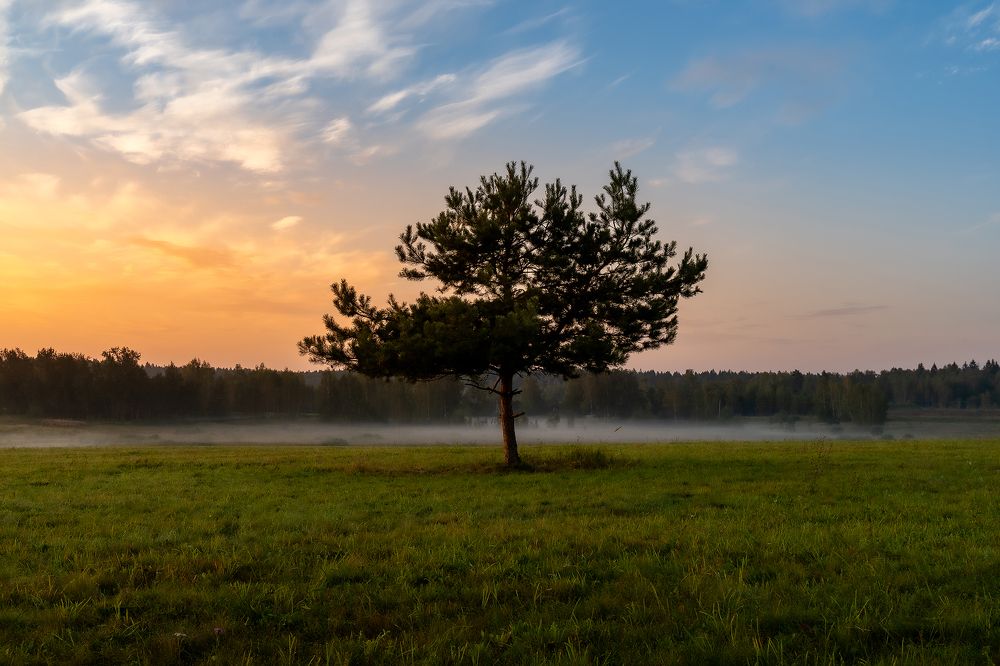 Photograph by Добродий Михаил