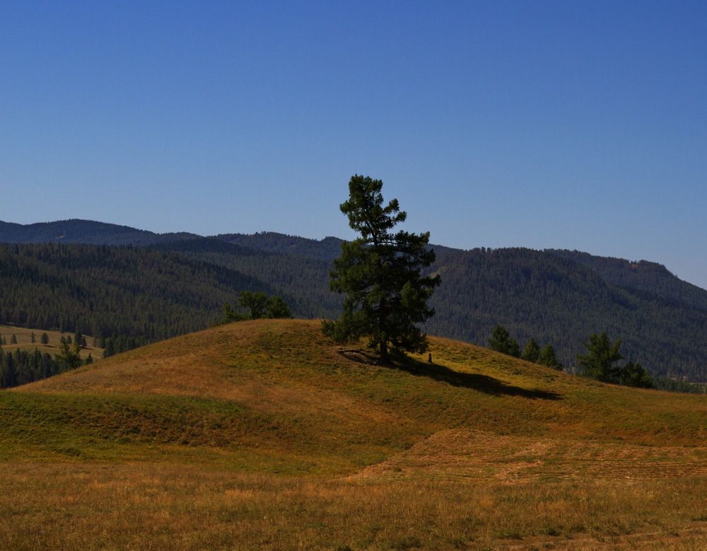 Photograph by Алексей Хазов