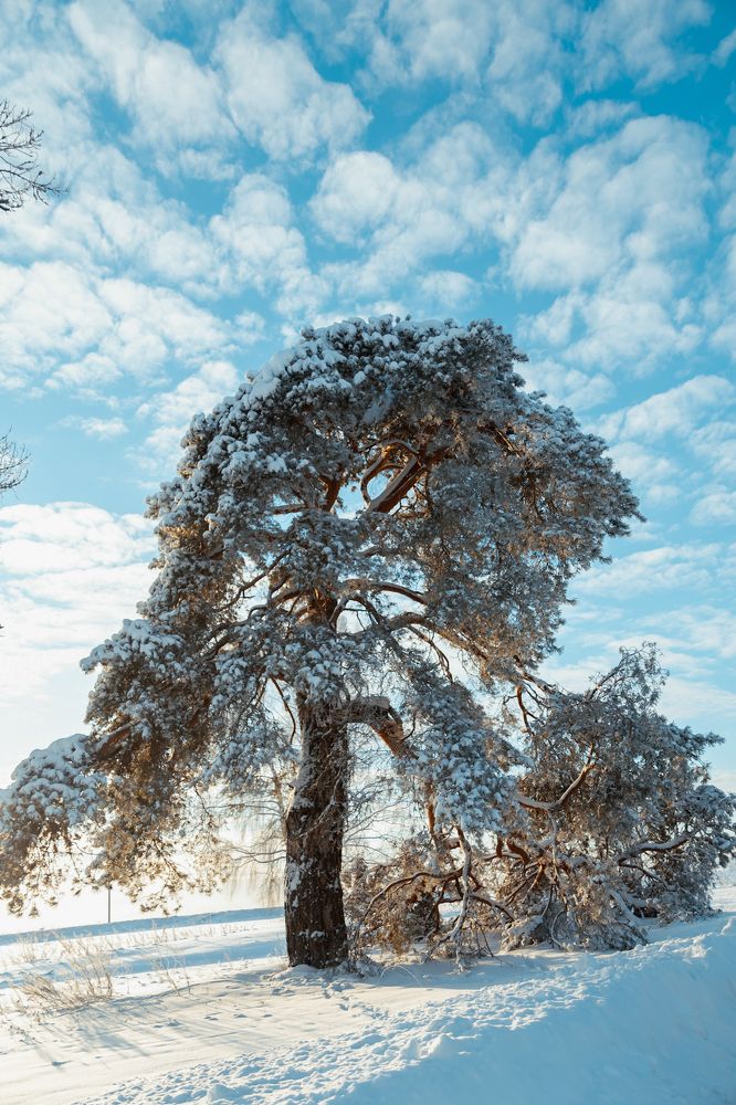 Photograph by Елена Ефимова