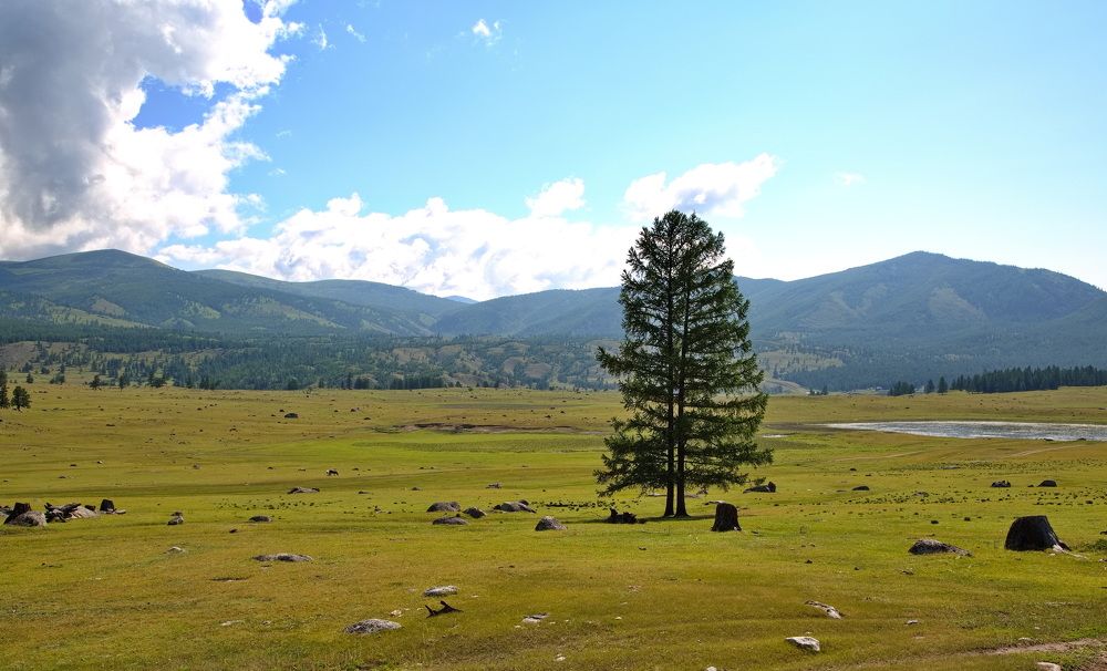 Photograph by Алексей Хазов