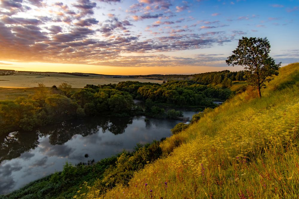 Photograph by Добродий Михаил