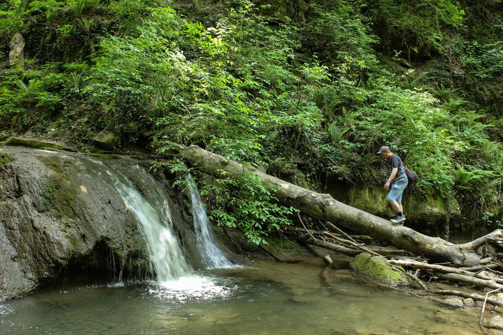 Photograph by Ирина Дмитриенко