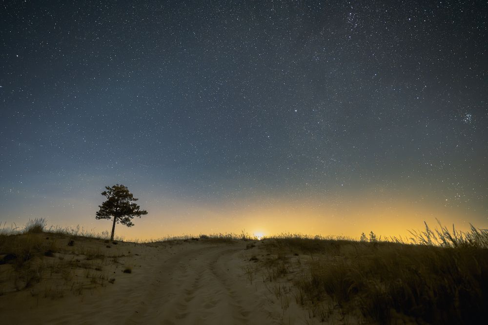 Photograph by Nikolay Surovtsev