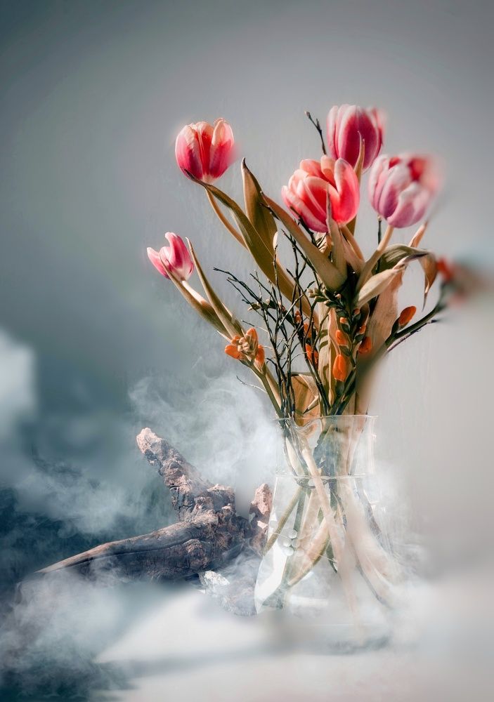 Фотография автора Юлияна Стоянова