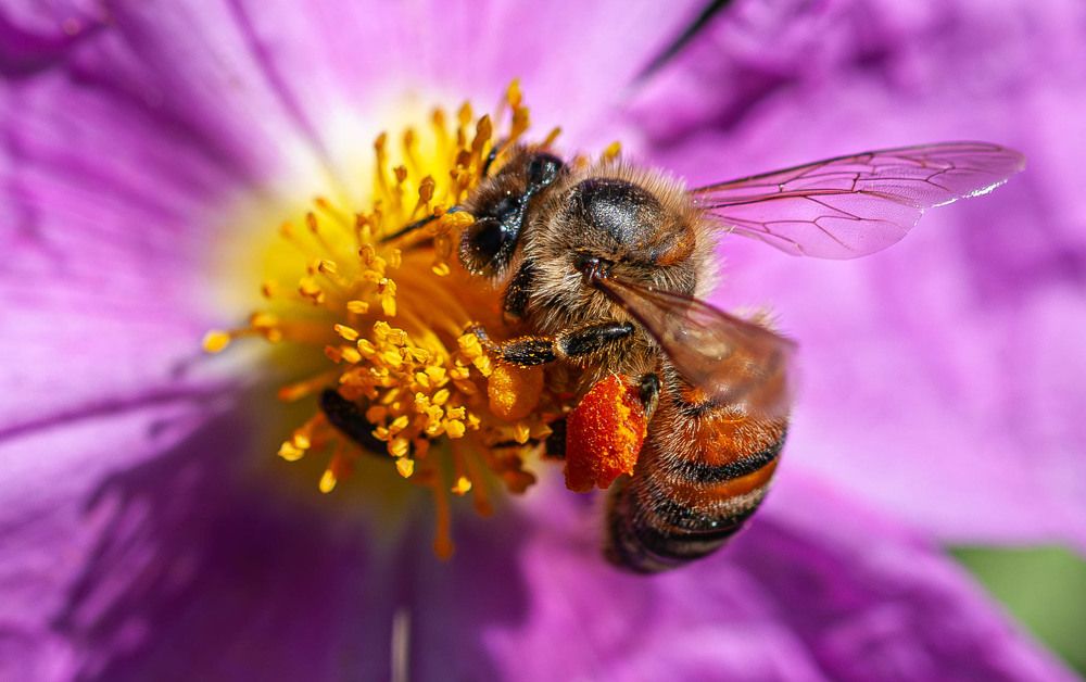 Фотография автора DIMITRIS MPAZIOTOPOULOS