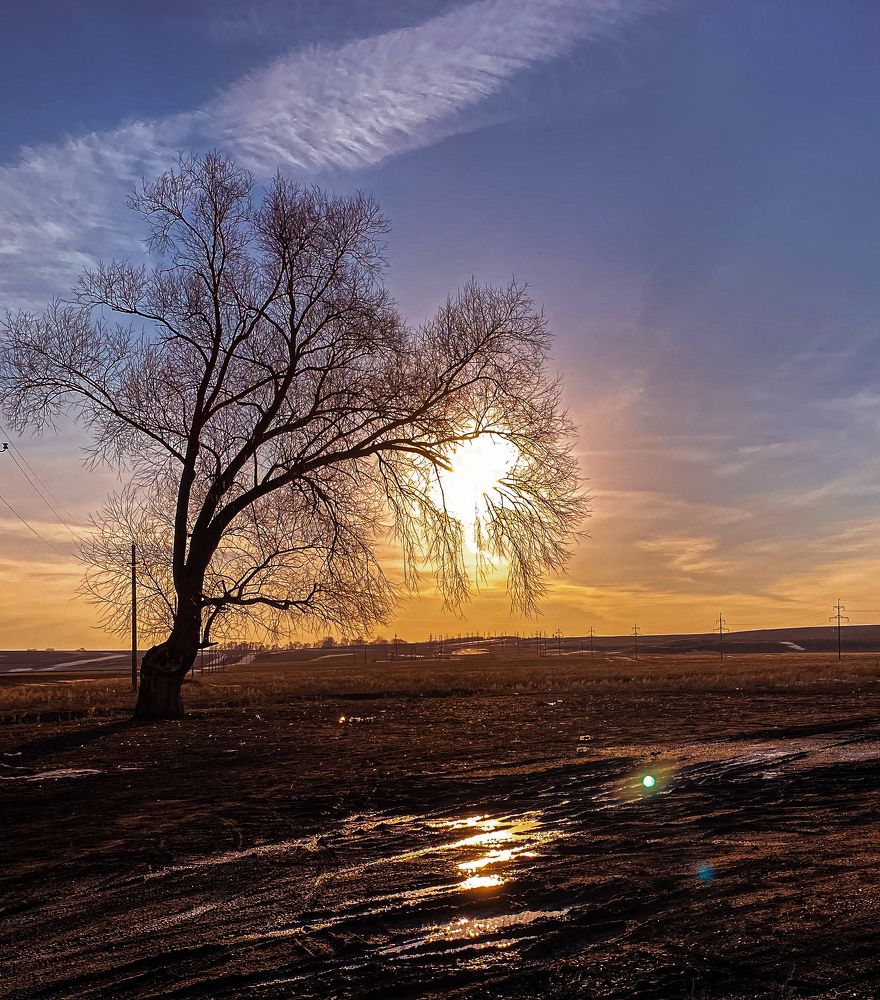 Photograph by Наталья Богаткина