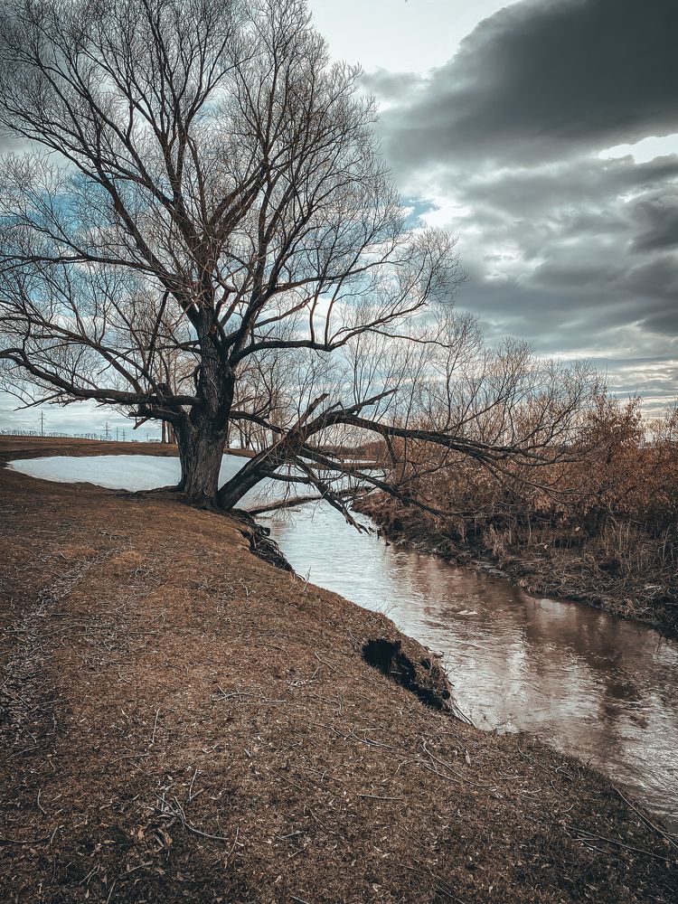 Photograph by Наталья Богаткина