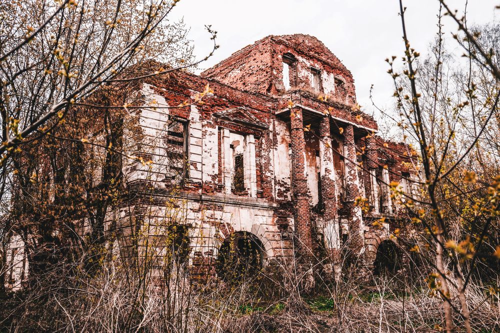 Photograph by Татьяна Дмитриева