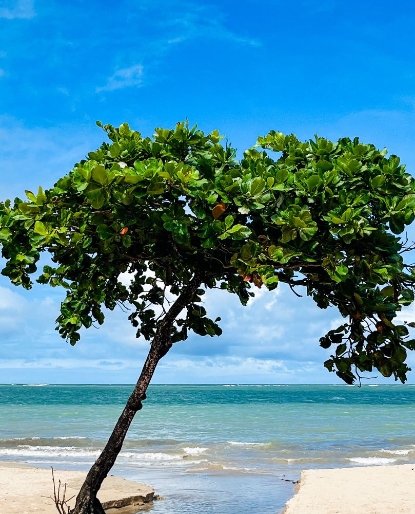 Photograph by Márcio Garcia