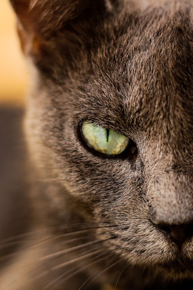 Photograph by Kássia Melo