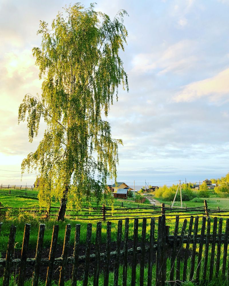 Photograph by Елена Шведова