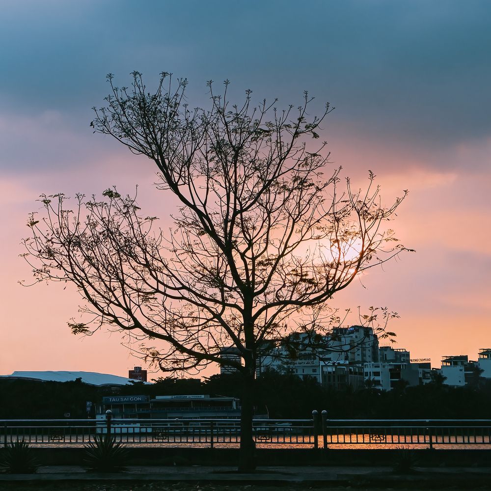 Photograph by Châu Minh Nguyễn