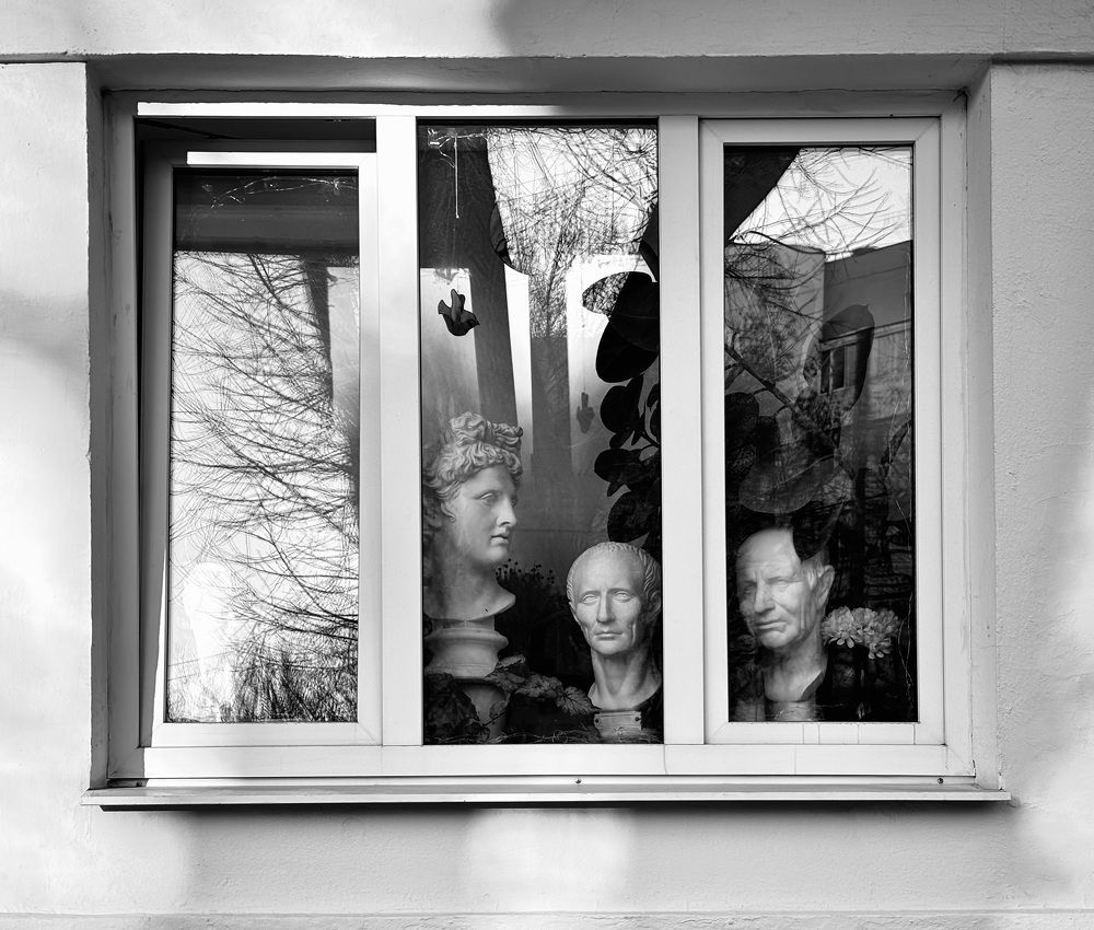 Photograph by Olga Mendosa