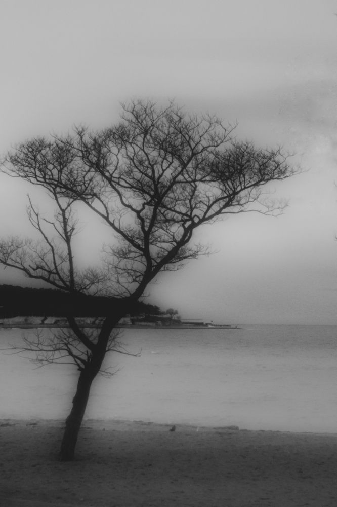 Photograph by Katerina Helios