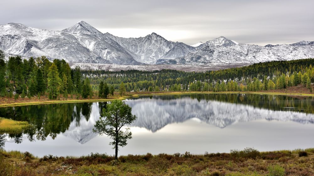 Вода. Горы. Дерево