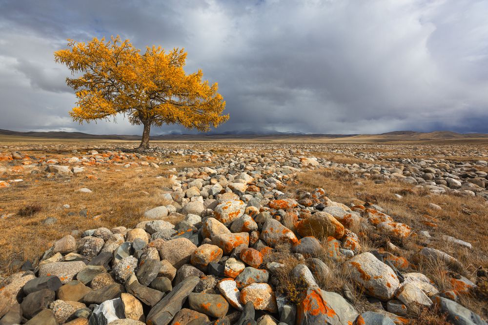 Photograph by Олонцев Андрей