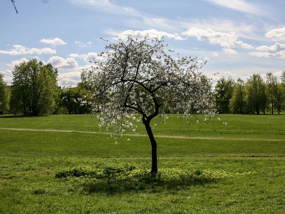 Photograph by Sergey Kurkov-Tarkovsky
