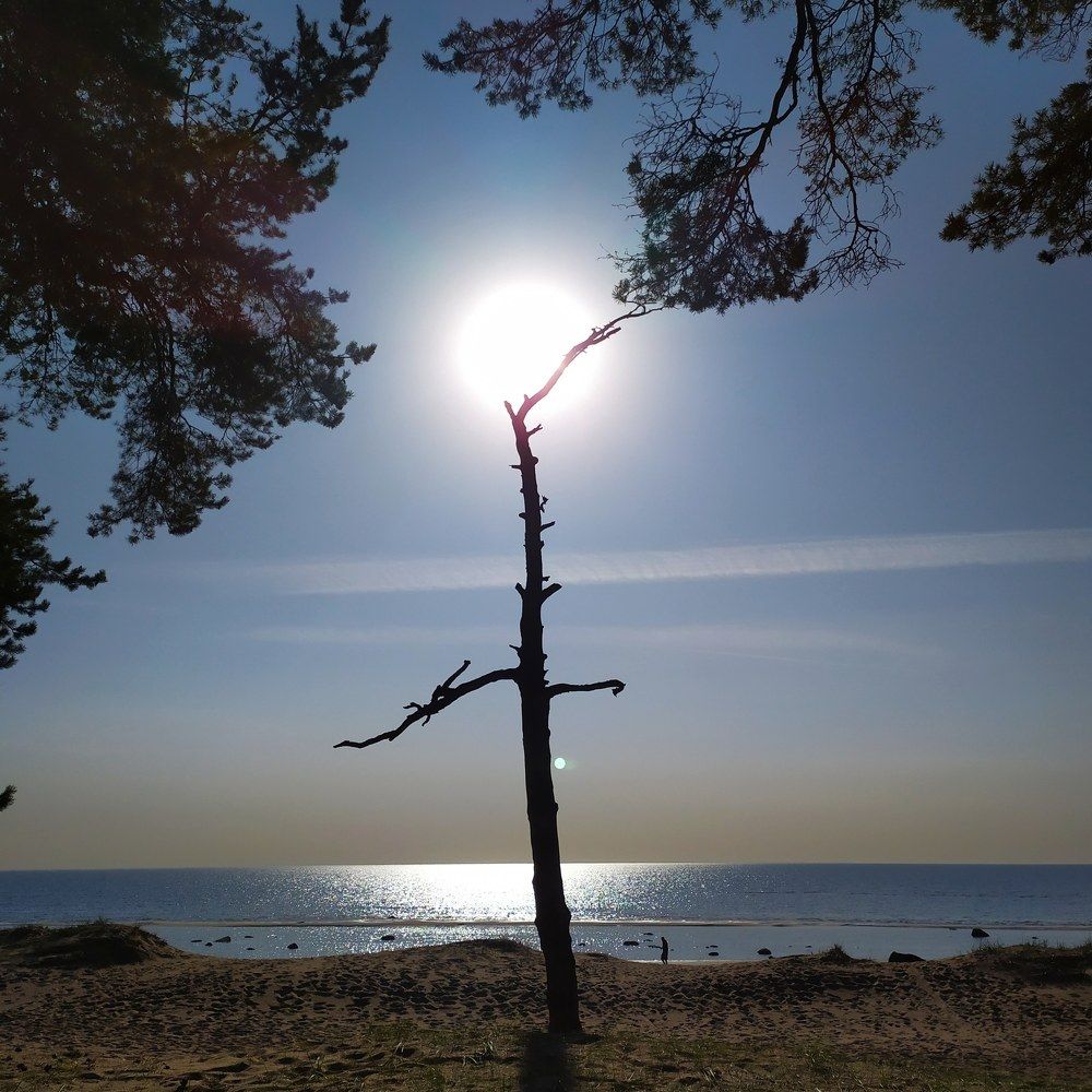 Photograph by Olga Kot