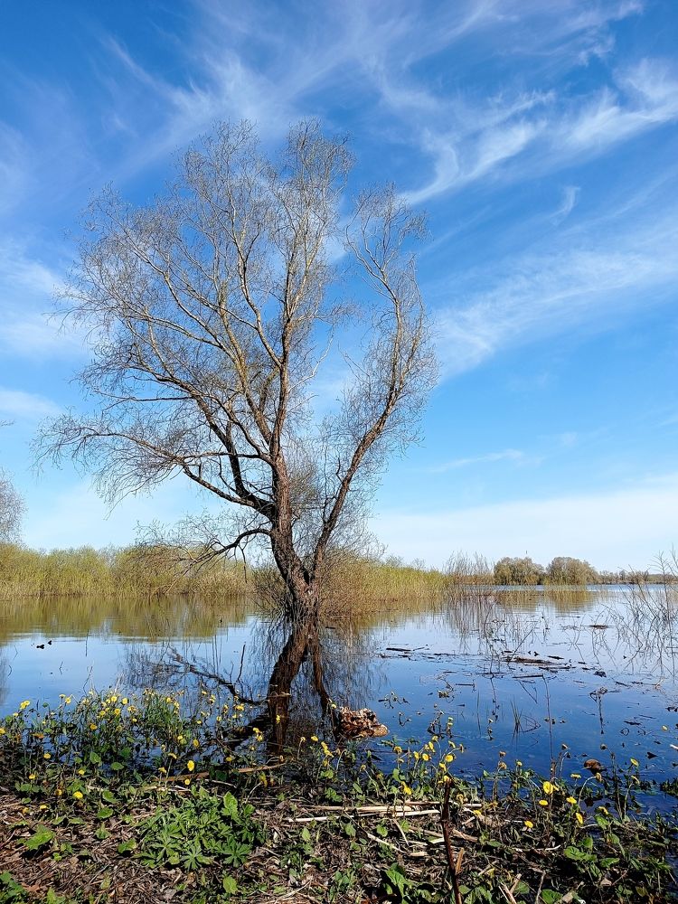 Photograph by Olga Kot